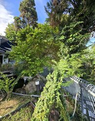 Siglap Road (D15), Detached #602237471